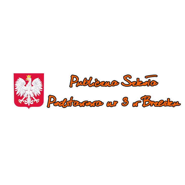 PSP nr 3 w Brzesku