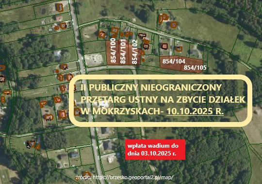 Przetarg ustny na zbycie niezabudowanej nieruchomości  położonej w miejscowości Mokrzyska