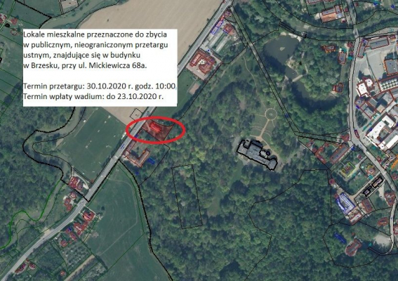 Burmistrz Brzeska ogłasza  pierwszy publiczny nieograniczony przetarg ustny na zbycie  lokali mieszkalnych