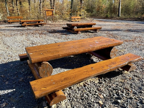 Miejsce odpoczynku w Lesie Szczepanowskim