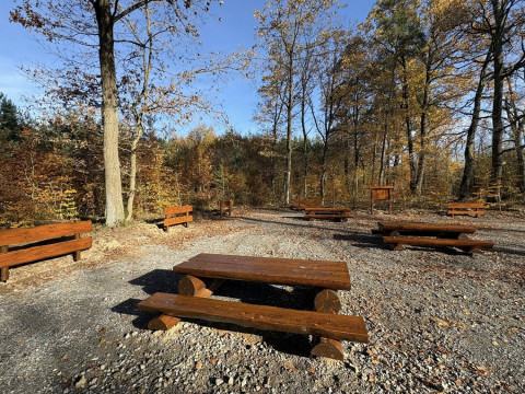 Miejsce odpoczynku w Lesie Szczepanowskim