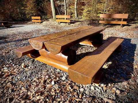 Miejsce odpoczynku w Lesie Szczepanowskim