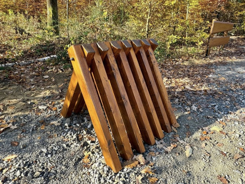 Miejsce odpoczynku w Lesie Szczepanowskim