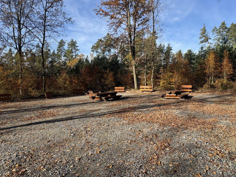 Miejsce odpoczynku w Lesie Szczepanowskim