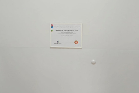 Remont Domu Ludowego w Okocimiu