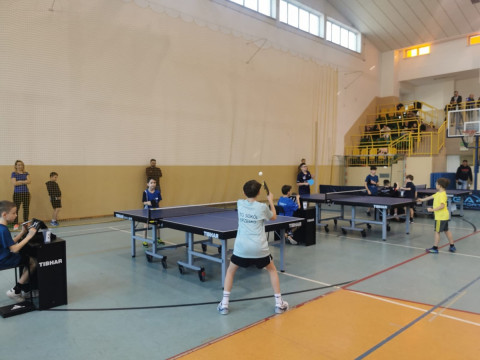 Sukcesy tenisistów stołowych TG „Sokół” Brzesko w 2025 roku