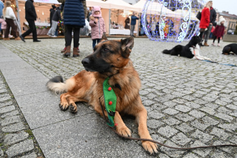 Jarmark Bożonarodzeniowy 2025
