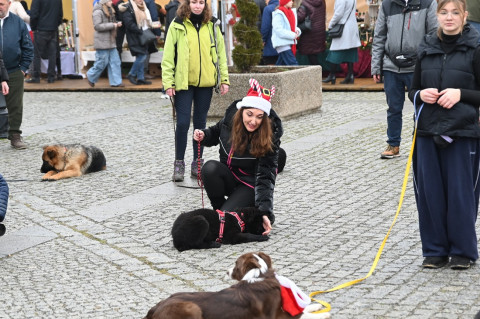 Jarmark Bożonarodzeniowy 2025