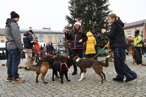 Jarmark Bożonarodzeniowy 2025