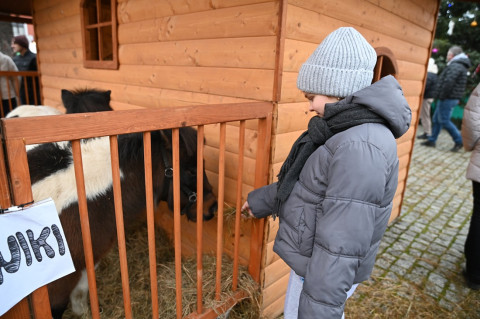 Jarmark Bożonarodzeniowy 2025