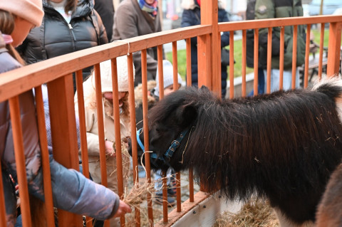 Jarmark Bożonarodzeniowy 2025
