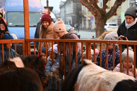 Jarmark Bożonarodzeniowy 2025