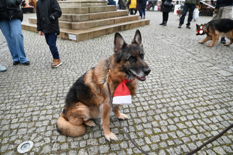 Jarmark Bożonarodzeniowy 2025