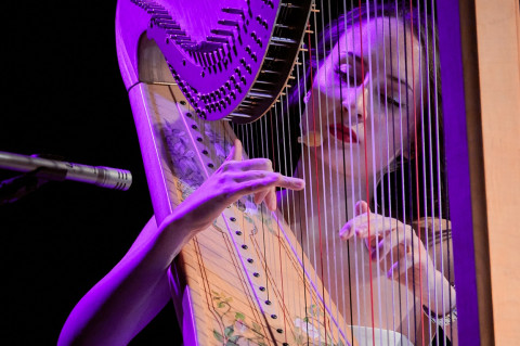 Magia harfy na brzeskiej scenie