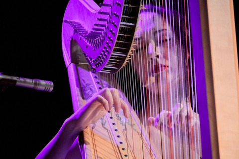 Magia harfy na brzeskiej scenie