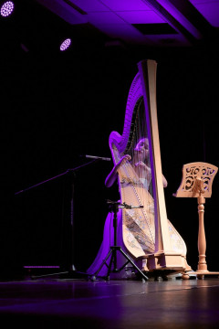 Magia harfy na brzeskiej scenie