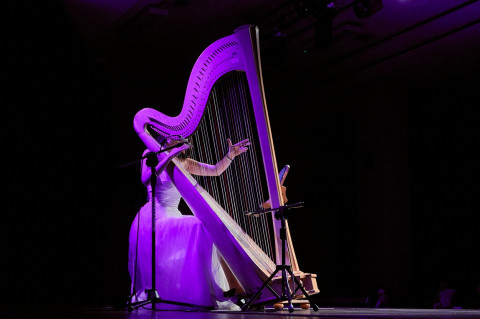 Magia harfy na brzeskiej scenie