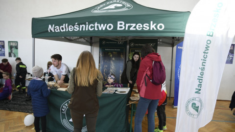 Jadowniki pobiegły Tropem Wilczym