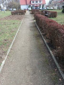 Wiosenne upiększanie miasta