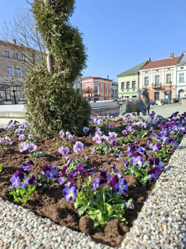 Wiosenne upiększanie miasta