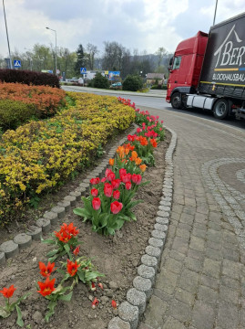 Wiosenne upiększanie miasta