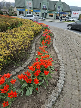 Wiosenne upiększanie miasta