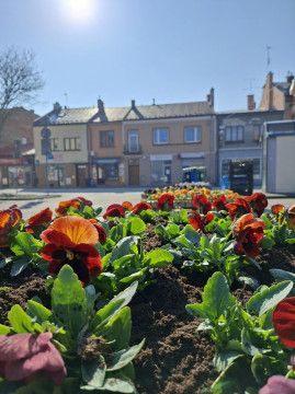 Wiosenne upiększanie miasta