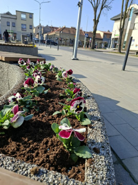 Wiosenne upiększanie miasta