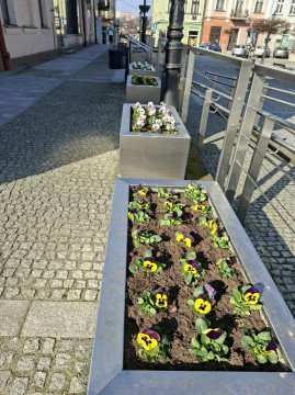 Wiosenne upiększanie miasta