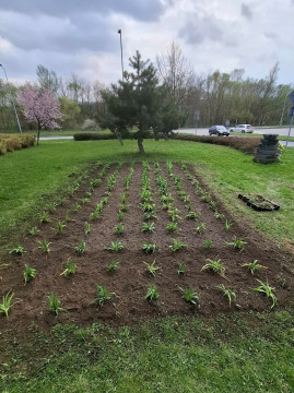 Wiosenne upiększanie miasta