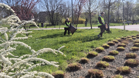 EcoHeroes - Brzesko 2026