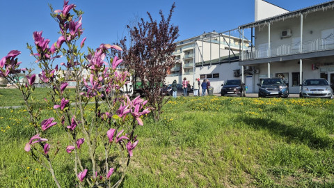 EcoHeroes - Brzesko 2026