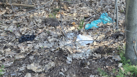 EcoHeroes - Brzesko 2026