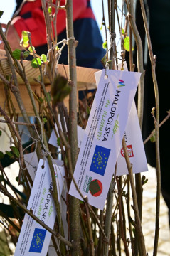 V Małopolski Dzień dla Klimatu