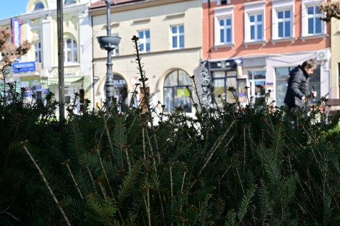 V Małopolski Dzień dla Klimatu