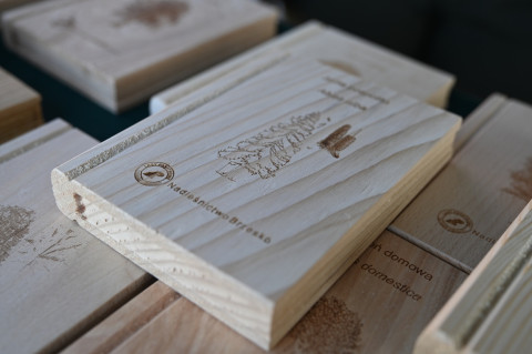 V Małopolski Dzień dla Klimatu