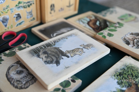 V Małopolski Dzień dla Klimatu