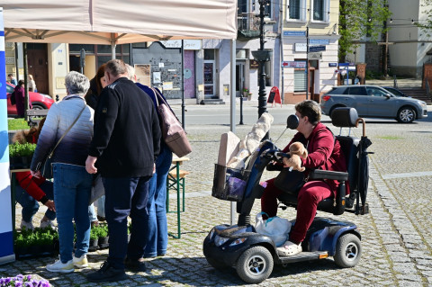V Małopolski Dzień dla Klimatu