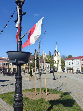 BIAŁO-CZERWONE Brzesko