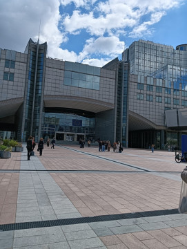 Studenci UTW w Brukseli