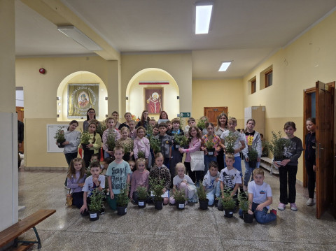 Zielony tydzień w gminie Brzesko