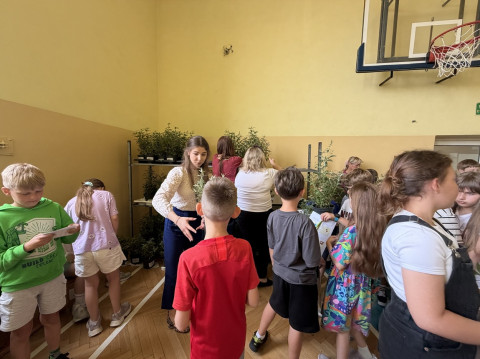 Zielony tydzień w gminie Brzesko
