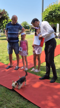 Brzesko Okocim Festiwal 2026