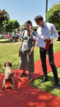 Brzesko Okocim Festiwal 2026