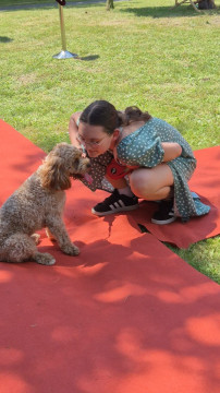 Brzesko Okocim Festiwal 2026