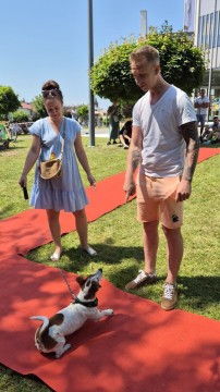 Brzesko Okocim Festiwal 2026
