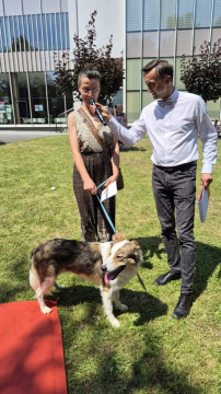 Brzesko Okocim Festiwal 2026