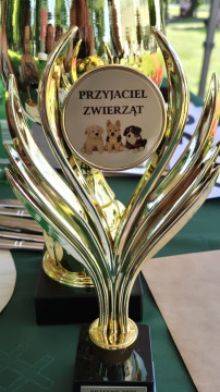 Brzesko Okocim Festiwal 2026