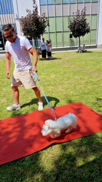 Brzesko Okocim Festiwal 2026
