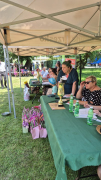 Brzesko Okocim Festiwal 2026